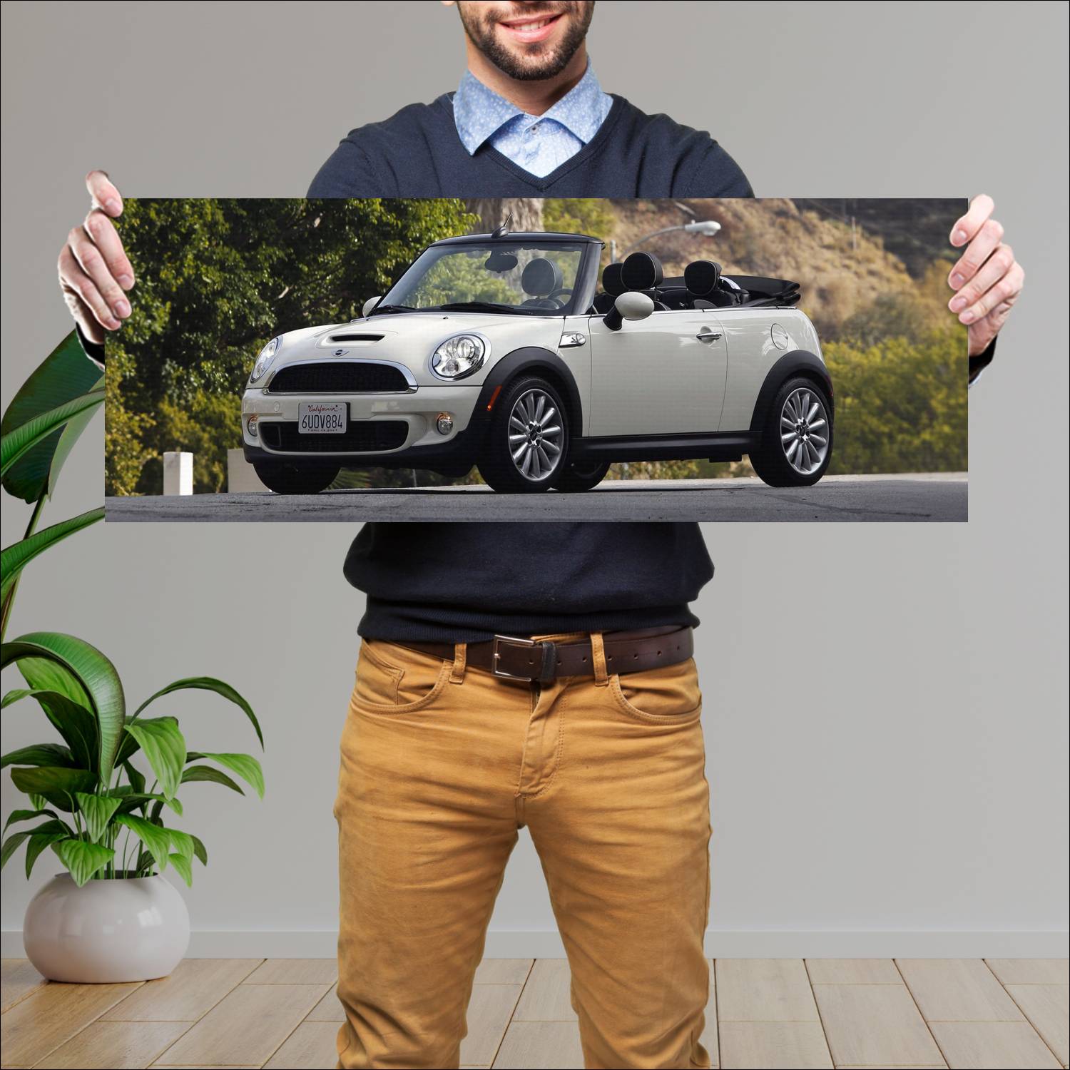 Cuadro grande 30x80cm 2010 mini cooper s convertib 76 Mini