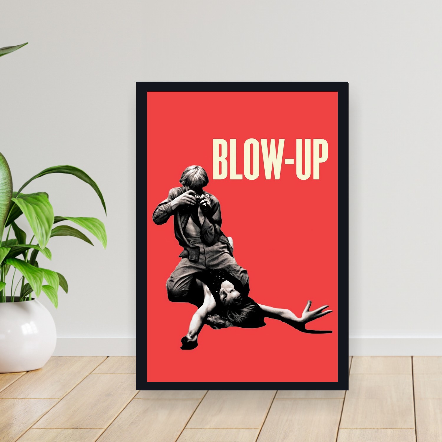 Cuadro 30x40cm Pelicula - Blow Up (1966)