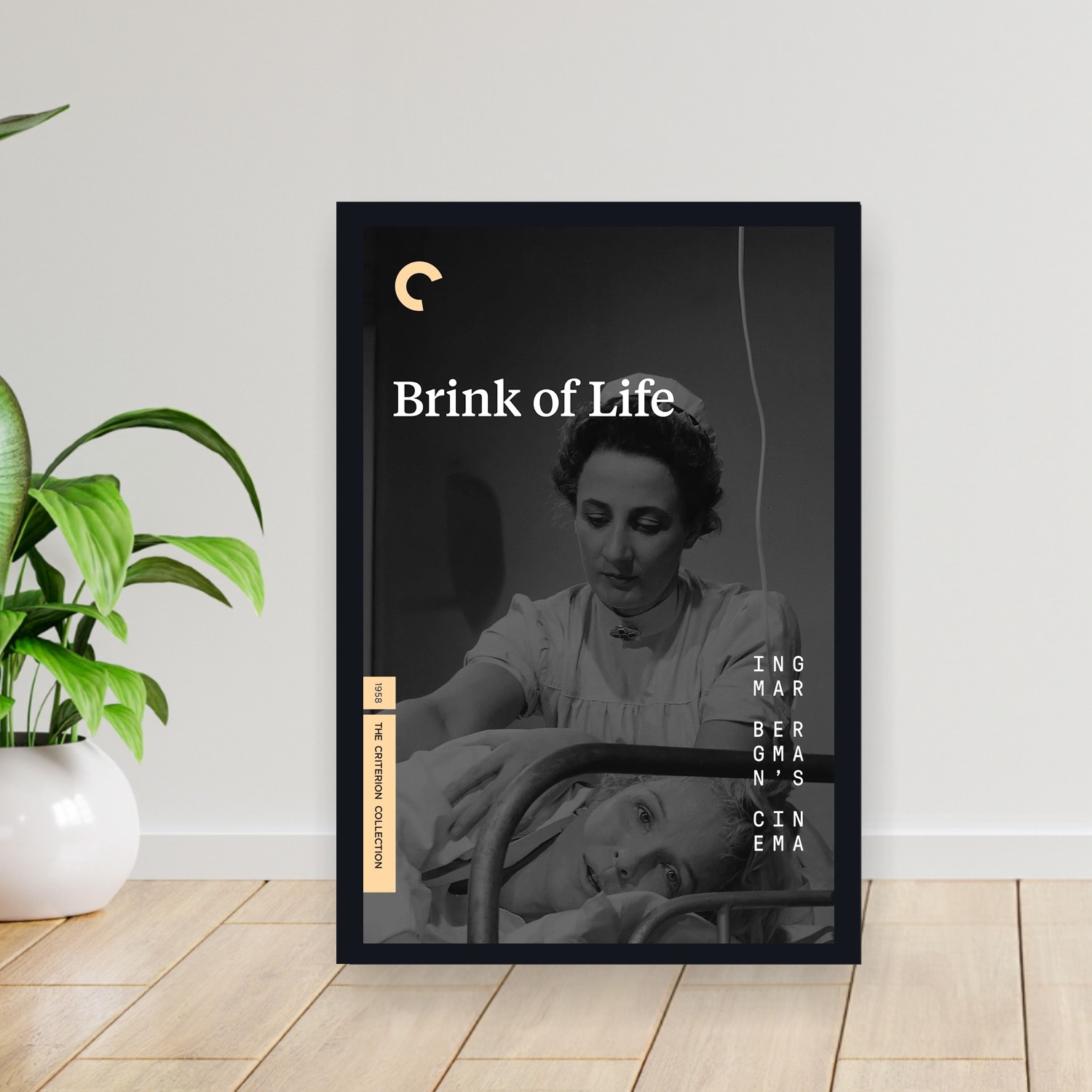 Cuadro 30x40cm Pelicula - Brink of Life (1958)