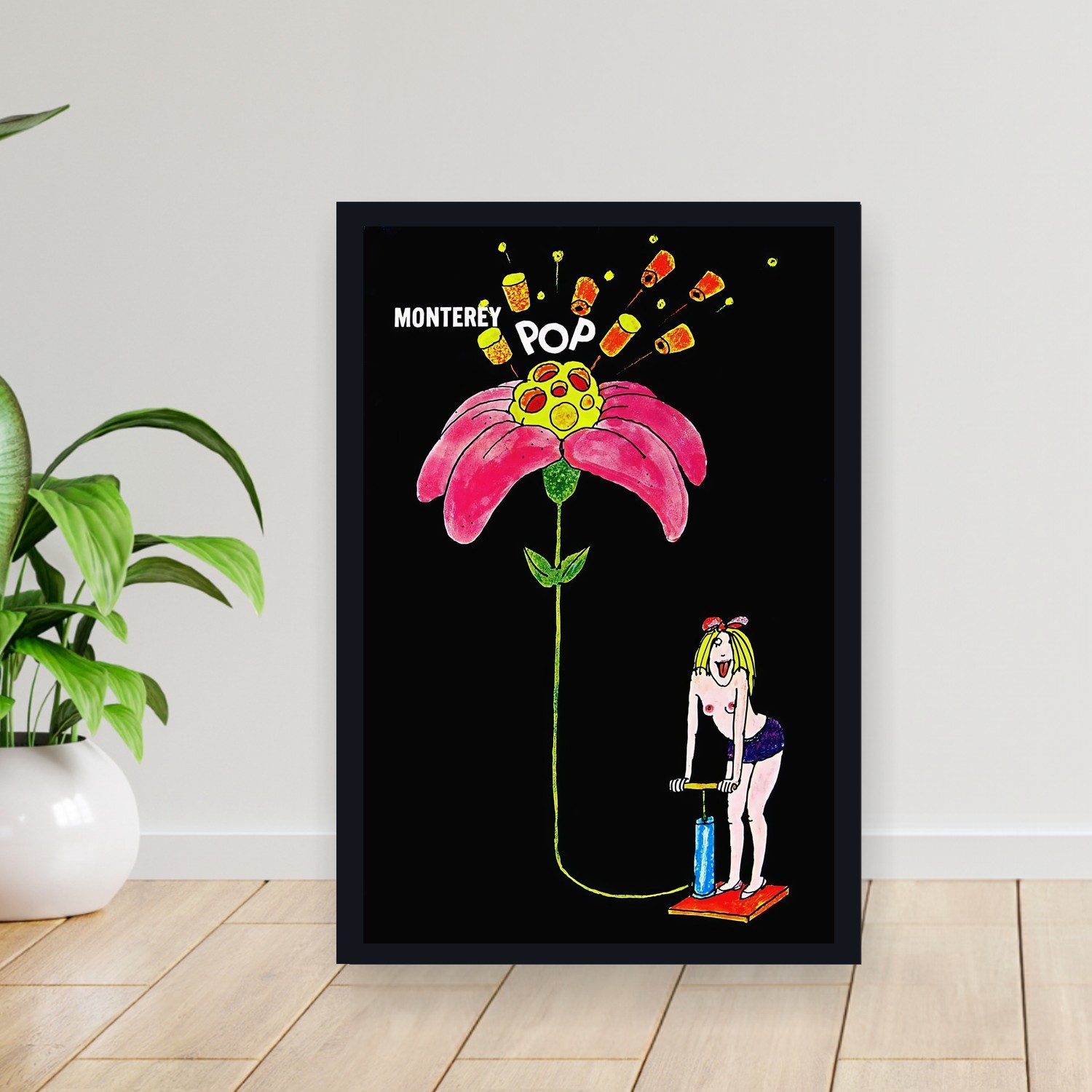 Cuadro 30x40cm Pelicula - Monterey Pop (1968)