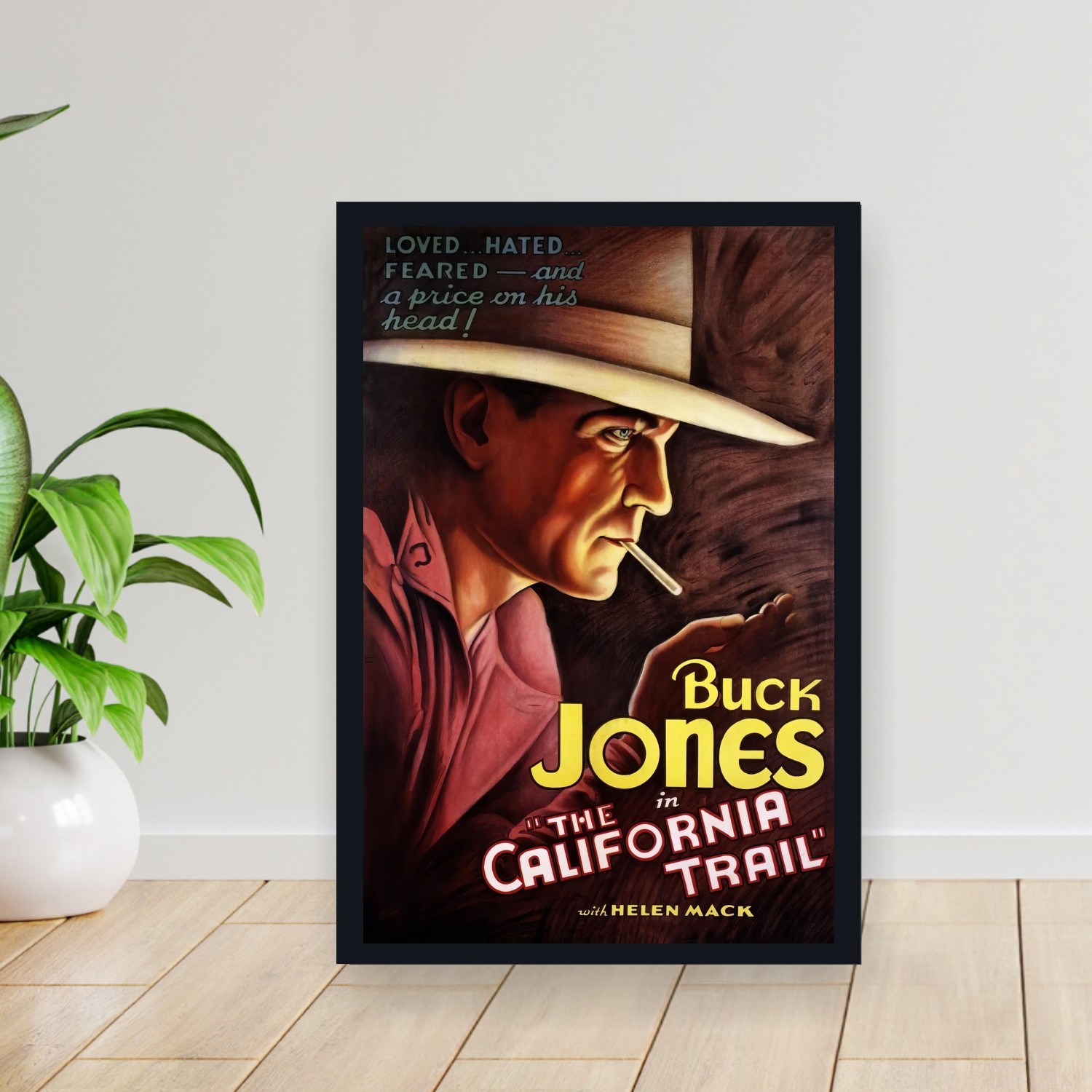 Cuadro 30x40cm Pelicula - The California Trail (1933)