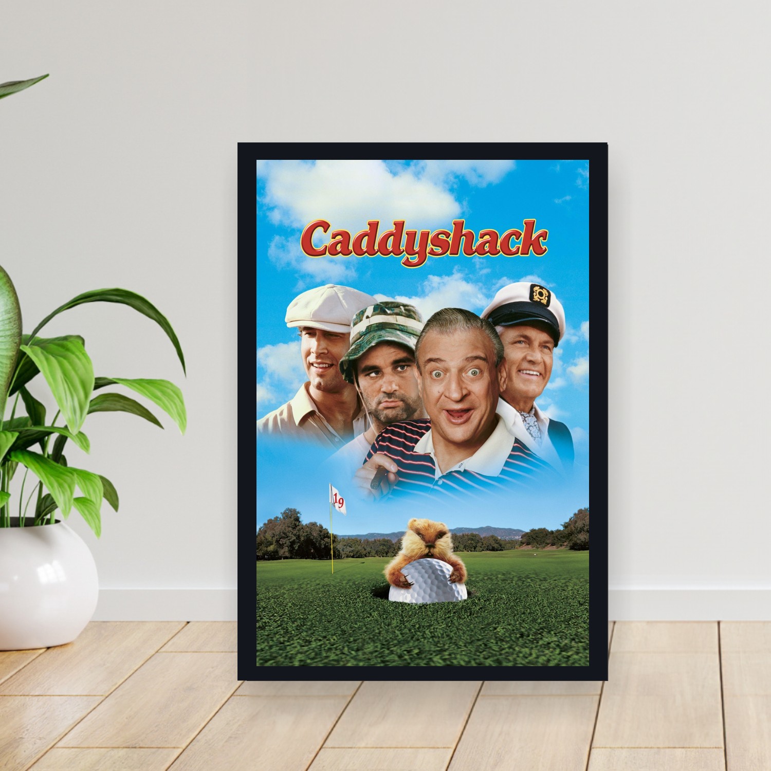 Cuadro 30x40cm Pelicula - Caddyshack (1980)