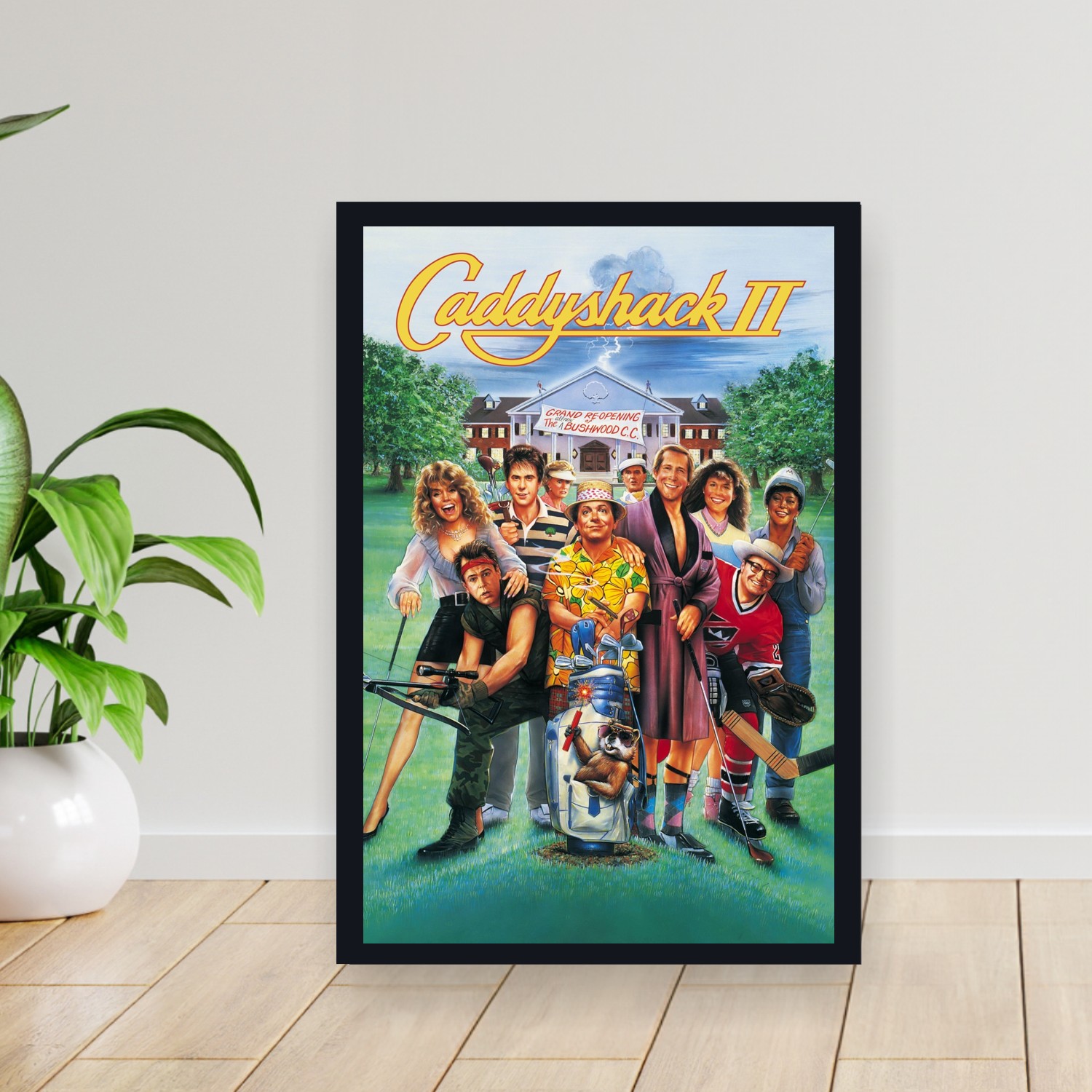 Cuadro 30x40cm Pelicula - Caddyshack II (1988)