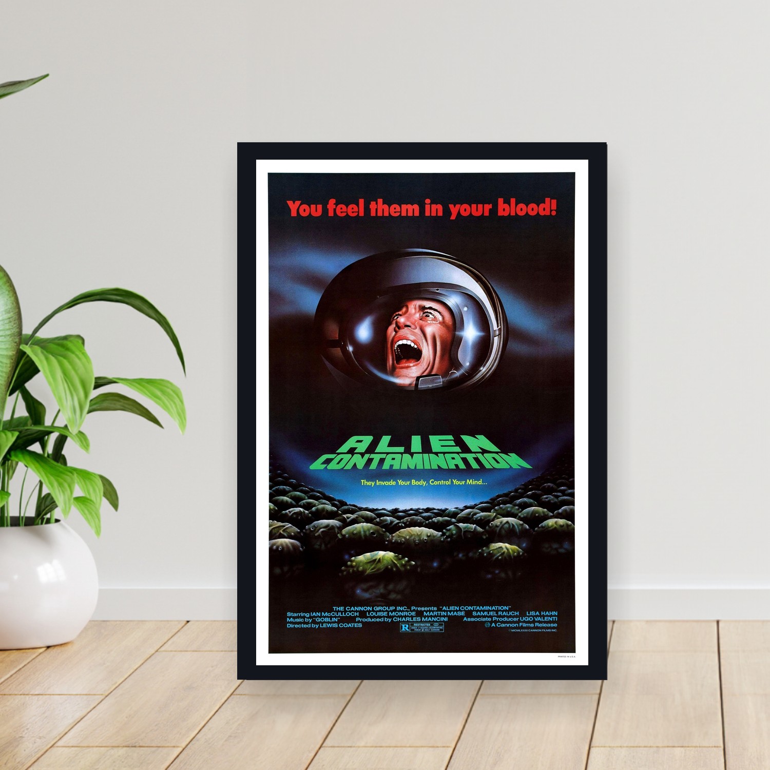 Cuadro 30x40cm Pelicula - Contamination (1980)