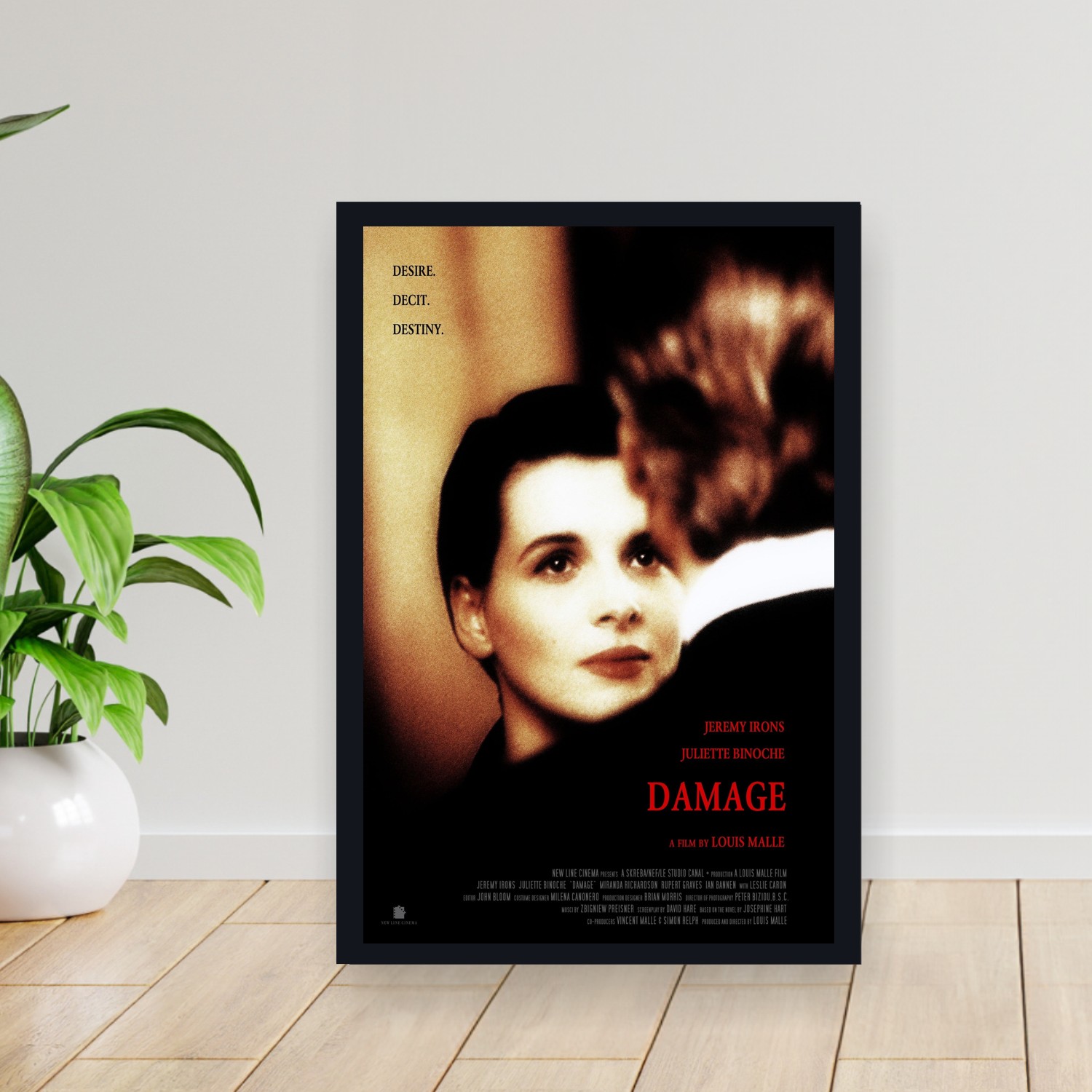 Cuadro 30x40cm Pelicula - Damage (1992)