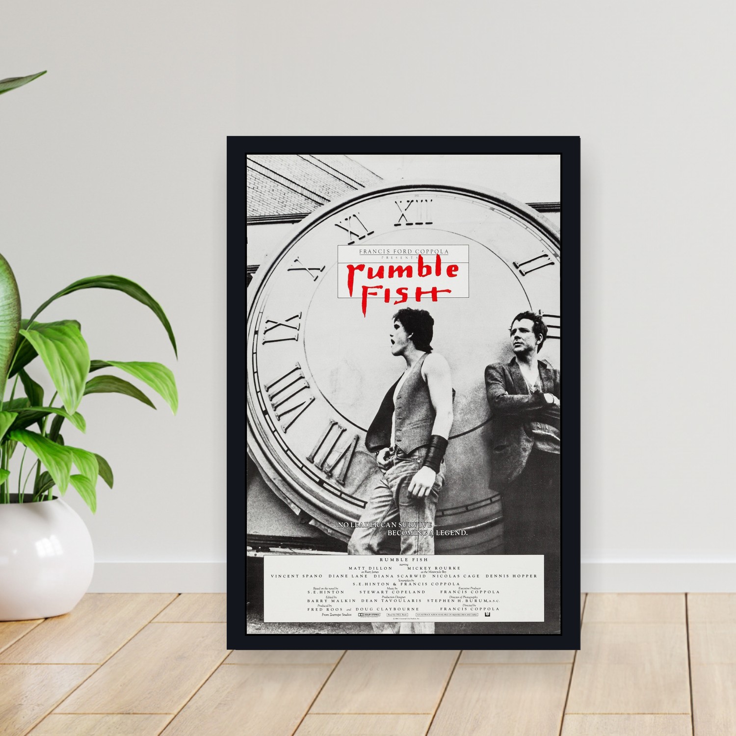 Cuadro 30x40cm Pelicula - Rumble Fish (1983)