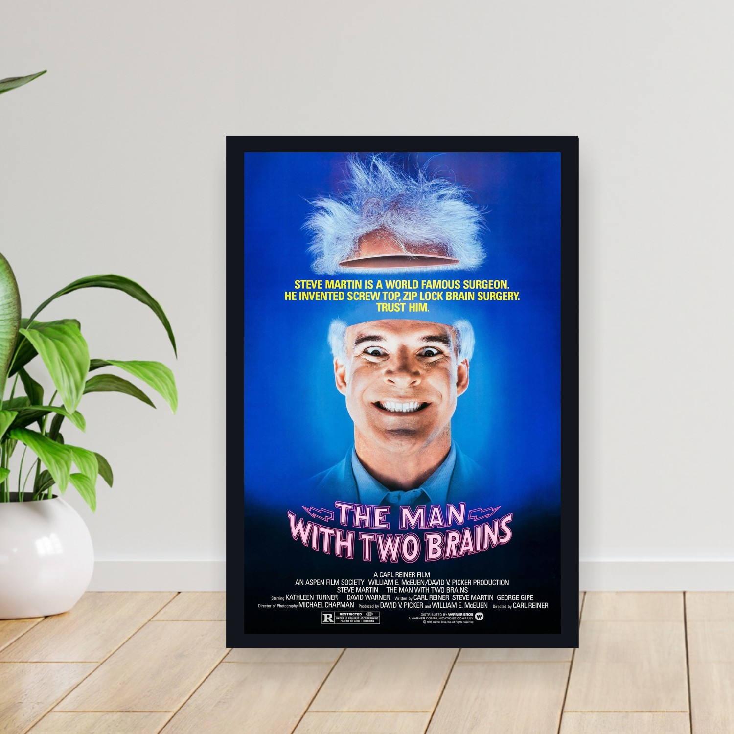 Cuadro 30x40cm Pelicula - The Man with Two Brains (1983)