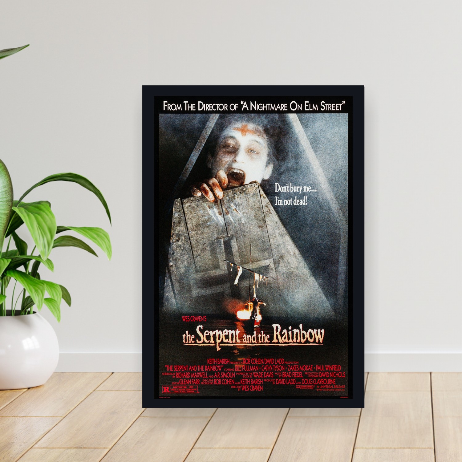 Cuadro 30x40cm Pelicula - The Serpent and the Rainbow (1988)