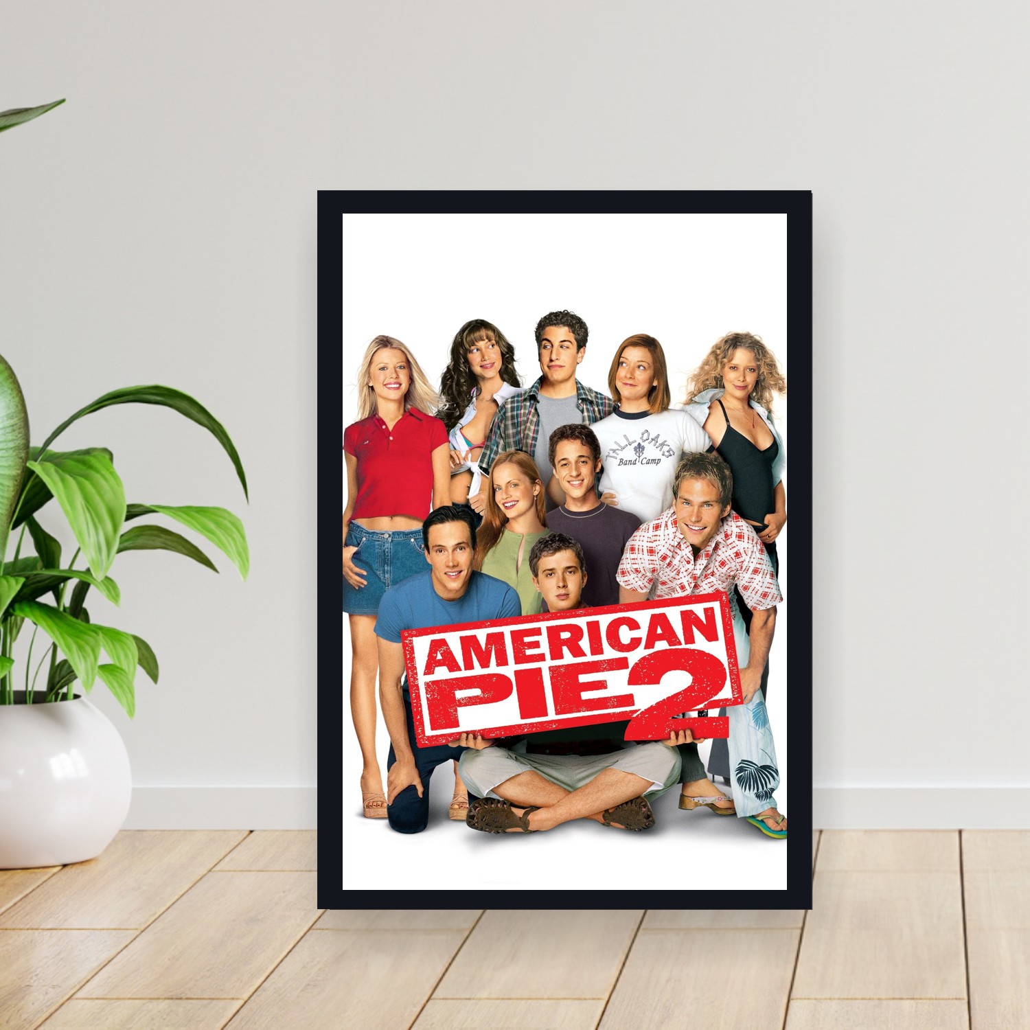 Cuadro 30x40cm Pelicula - American Pie 2 (2001)