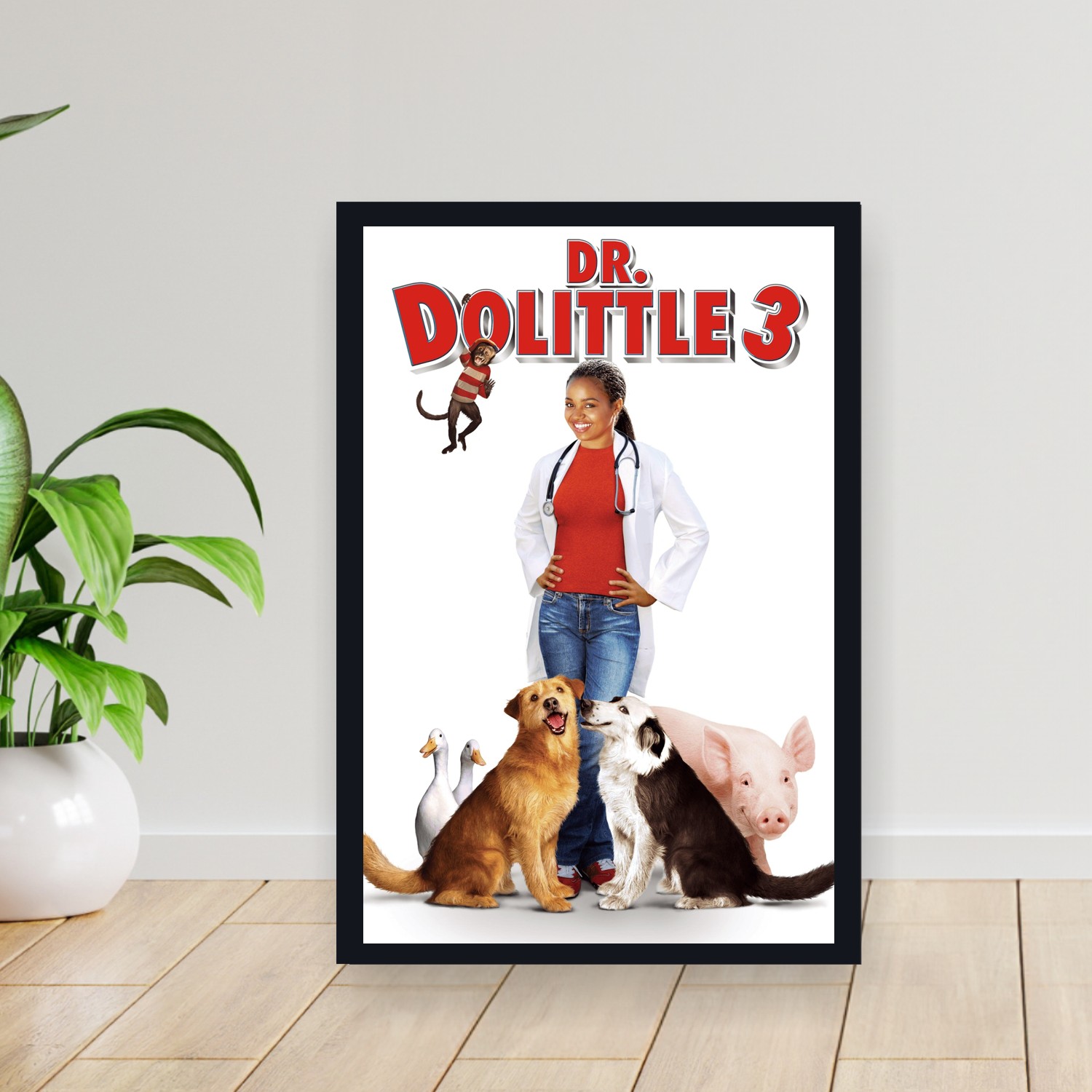 Cuadro 30x40cm Pelicula - Dr. Dolittle 3 (2006)