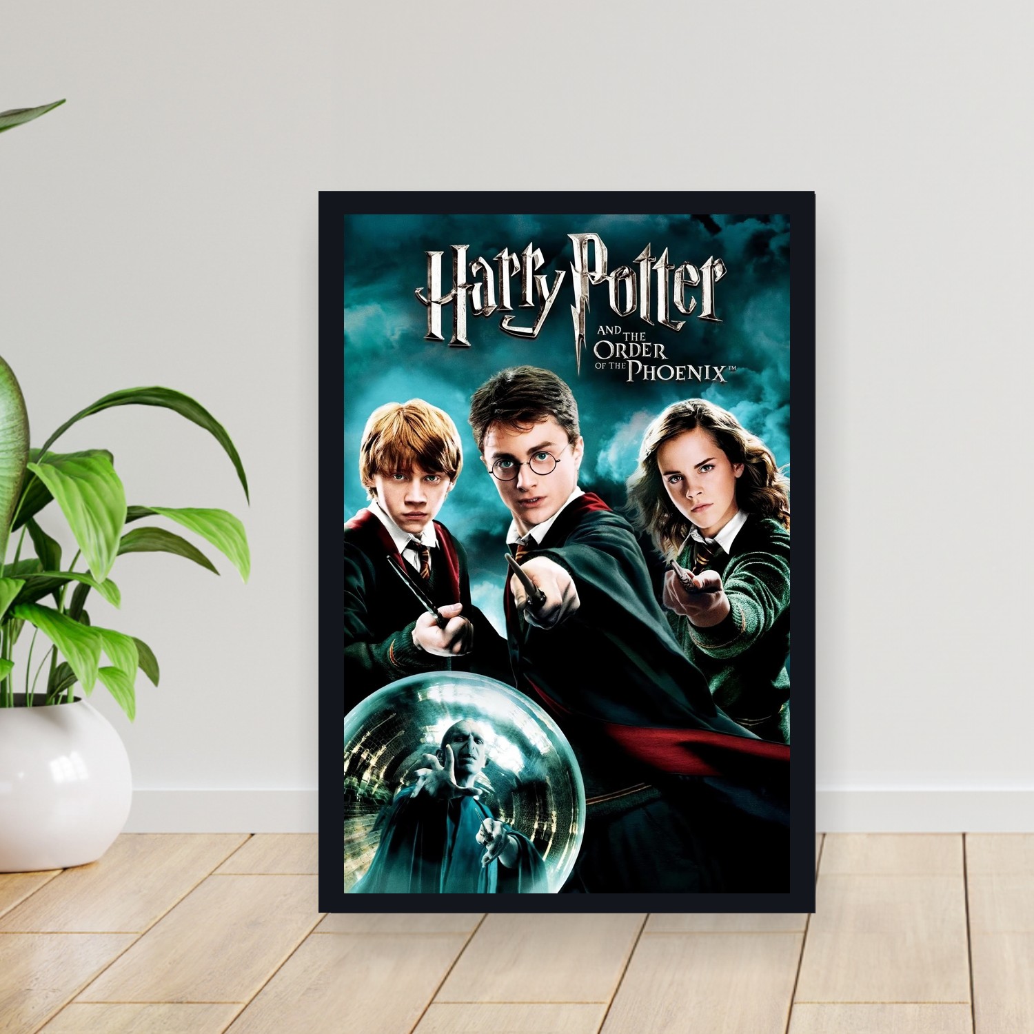 Cuadro 30x40cm Pelicula - Harry Potter and the Order of the Phoenix (2007)