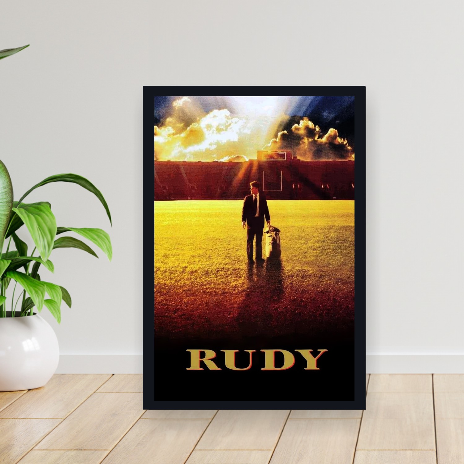 Cuadro 30x40cm Pelicula - Rudy (1993)