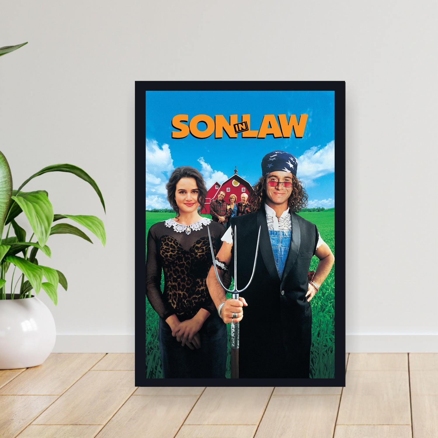 Cuadro 30x40cm Pelicula - Son in Law (1993)
