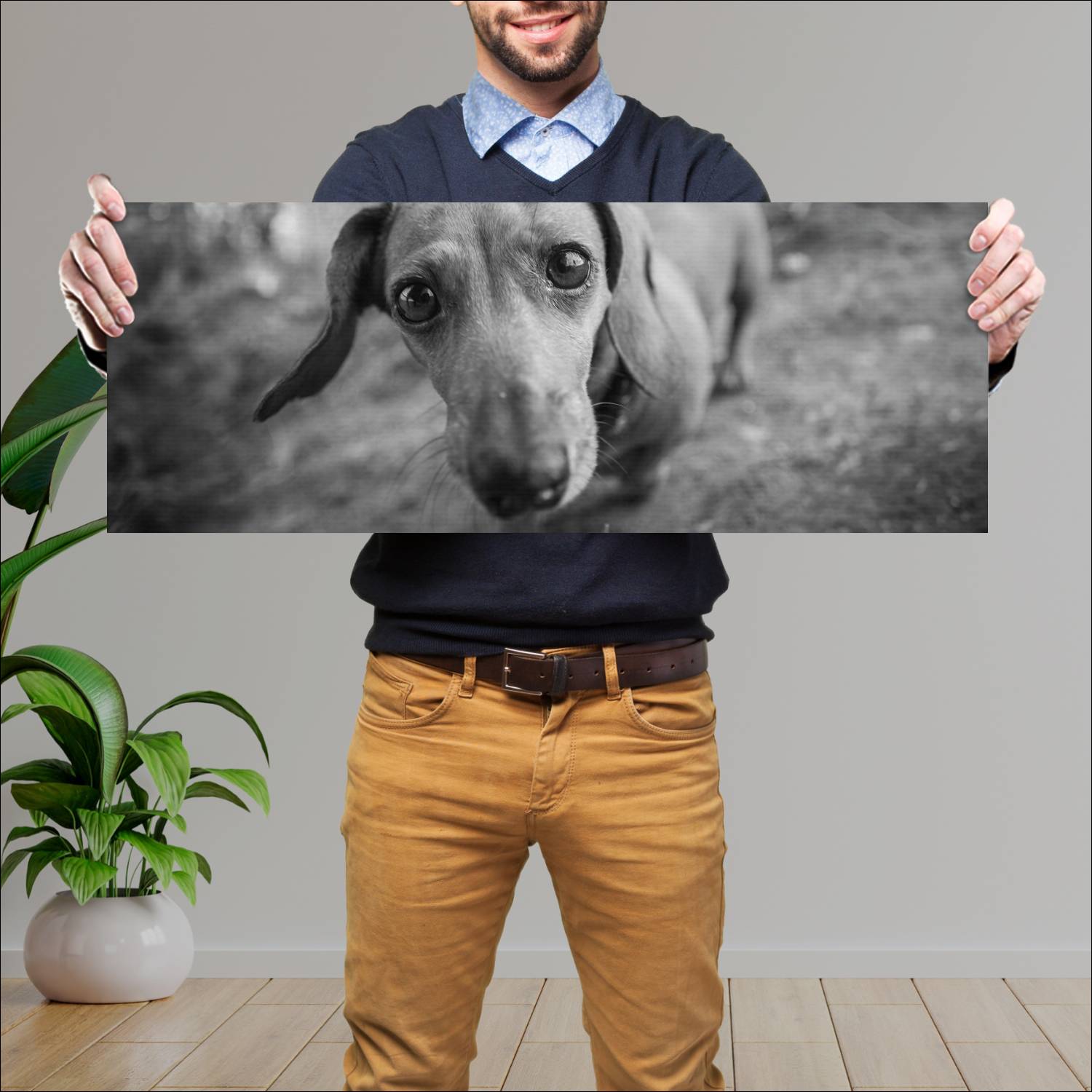 Cuadro grande 30x80cm Perro Salchicha Blanco y Nergo Naturaleza Perro