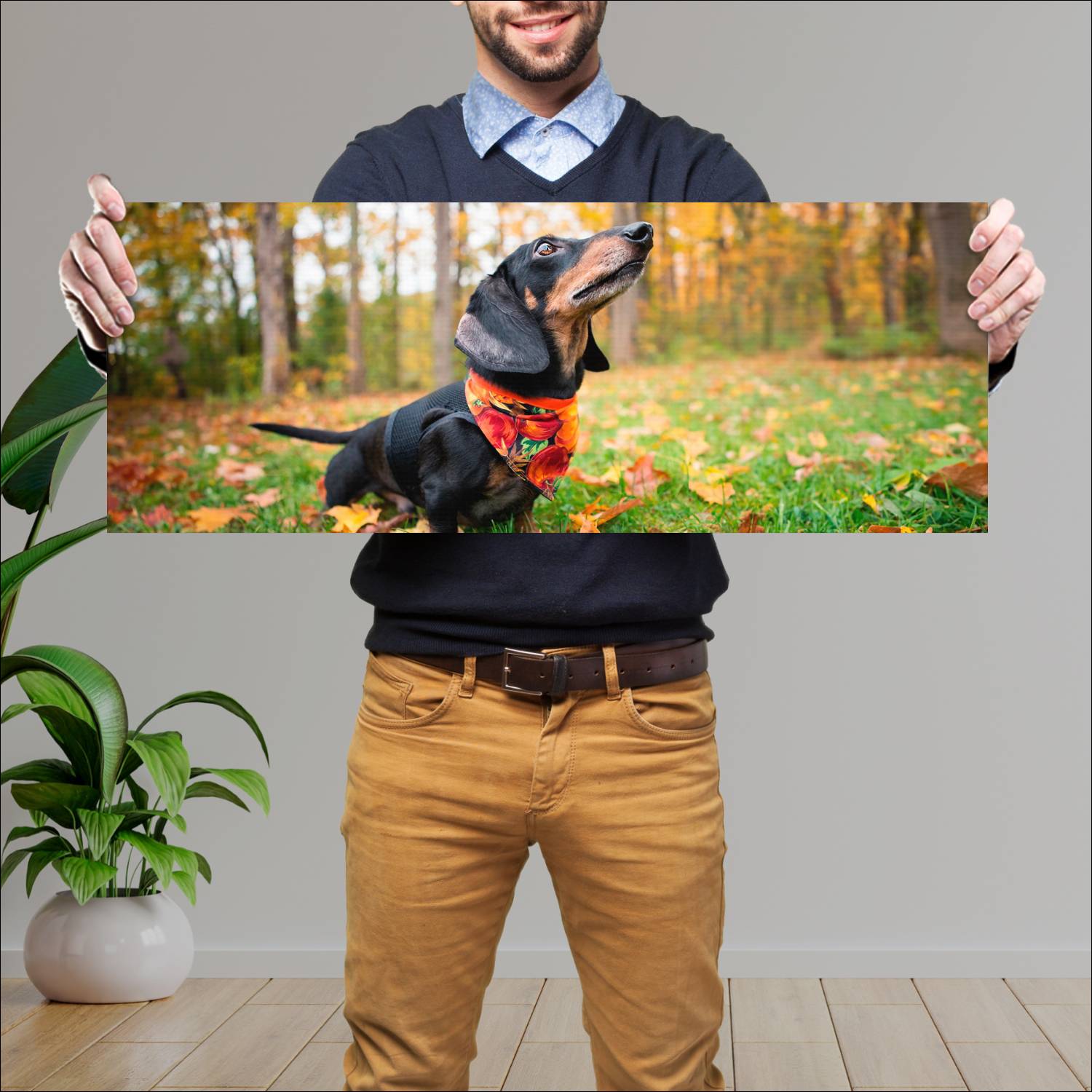 Cuadro grande 30x80cm Perro Salchicha Pañuelo Naturaleza Perro
