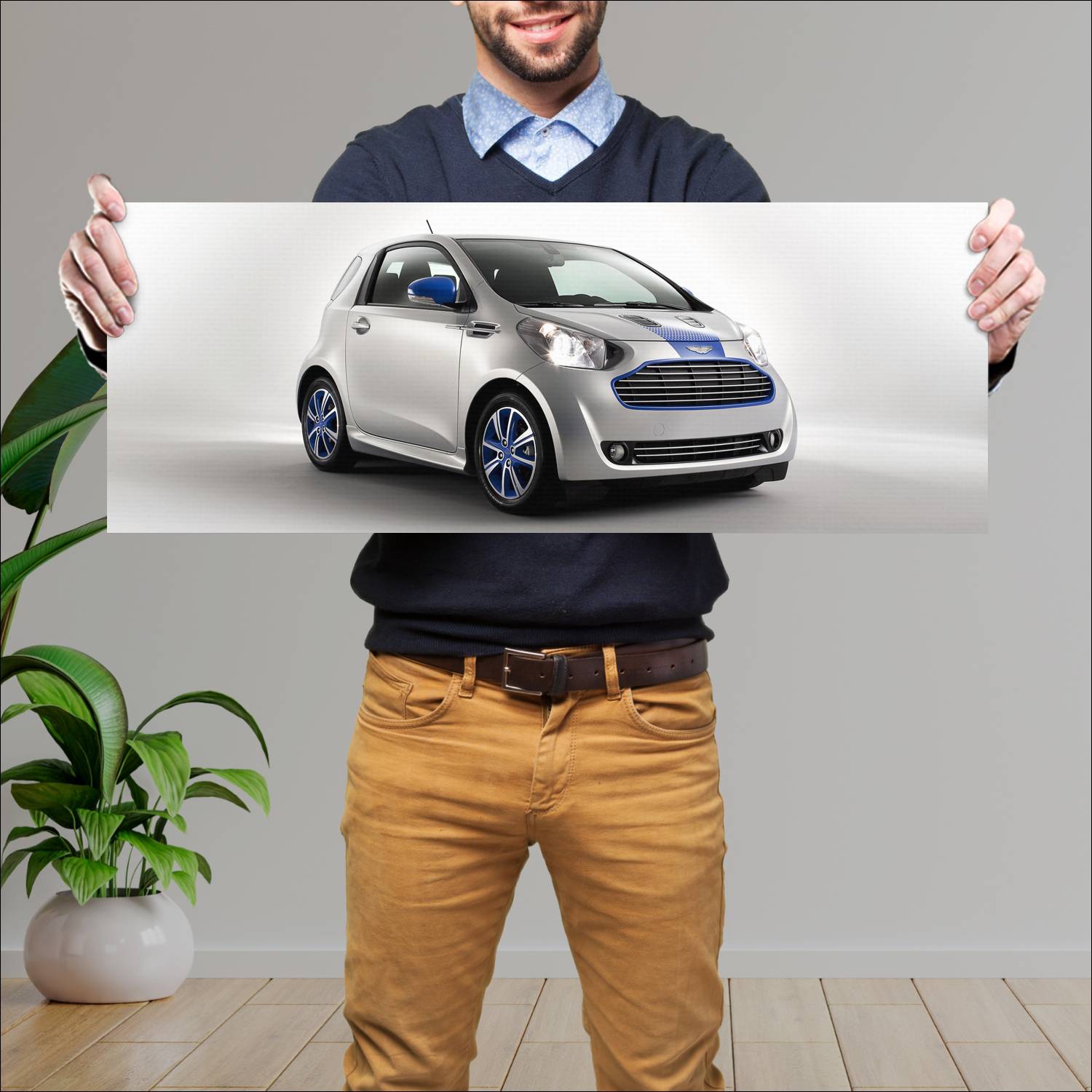 Cuadro grande 30x80cm 2011 aston martin cygnet and 349 Aston Martin