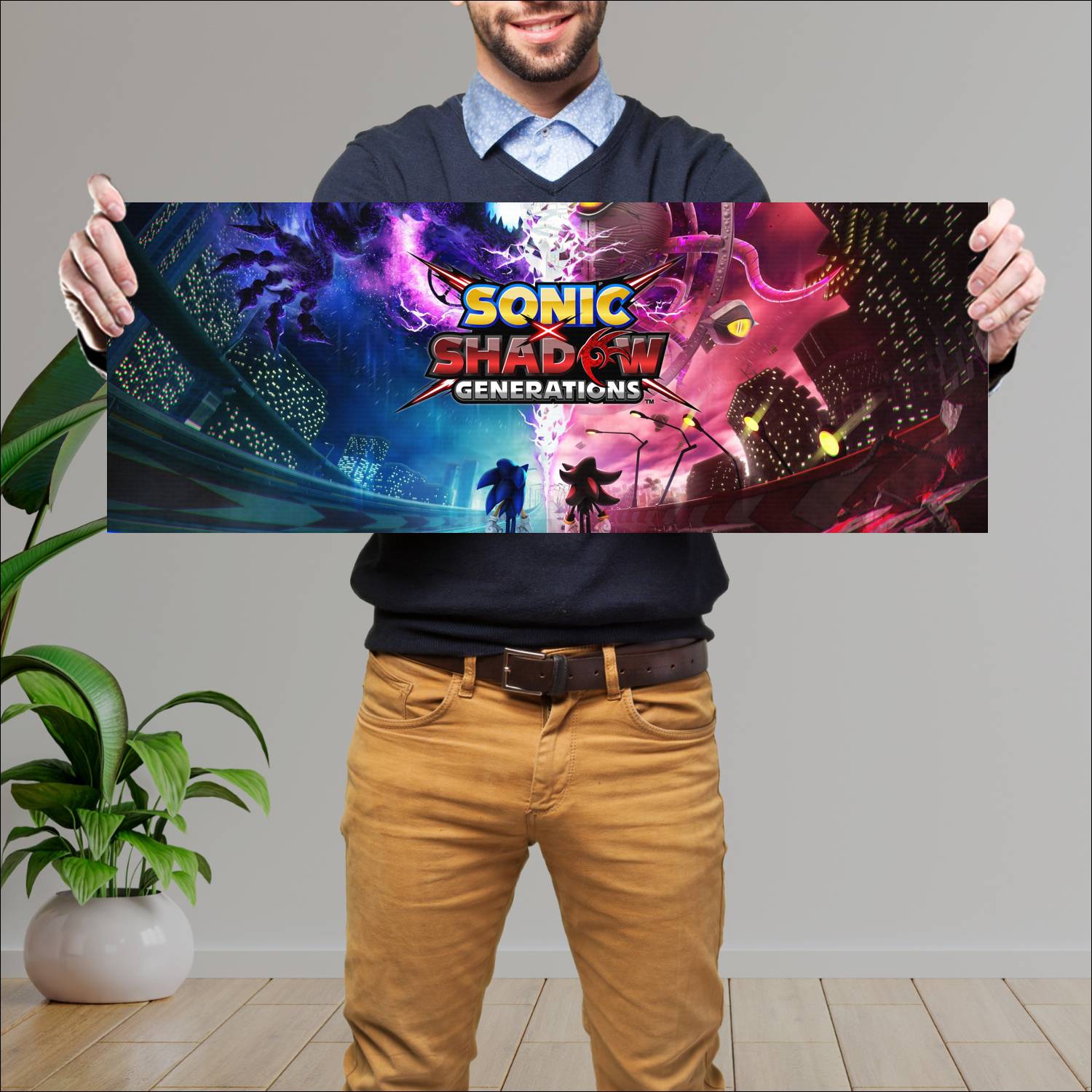 Cuadro grande 30x80cm sonic x shadow 19012 Gamer