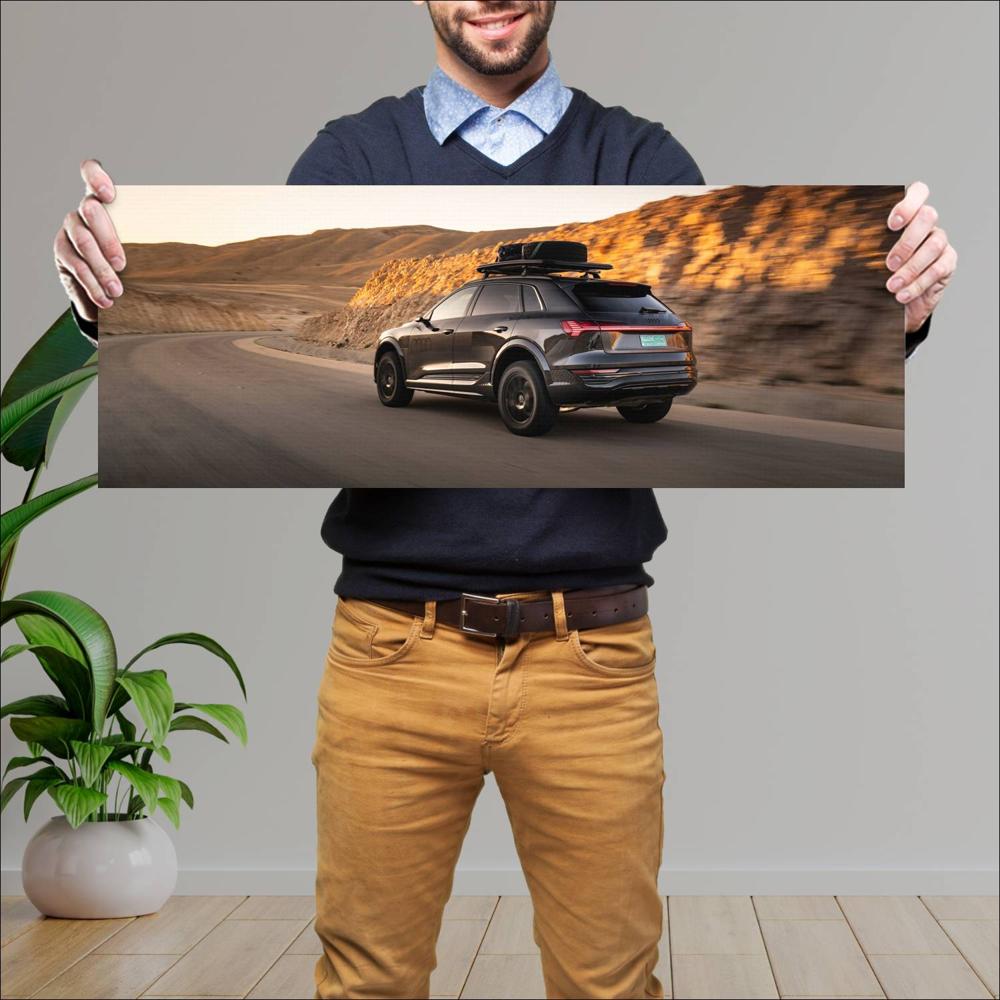 Cuadro grande 30x80cm 2024 Audi Q8 E Tron Dakar Edition 003 Audi