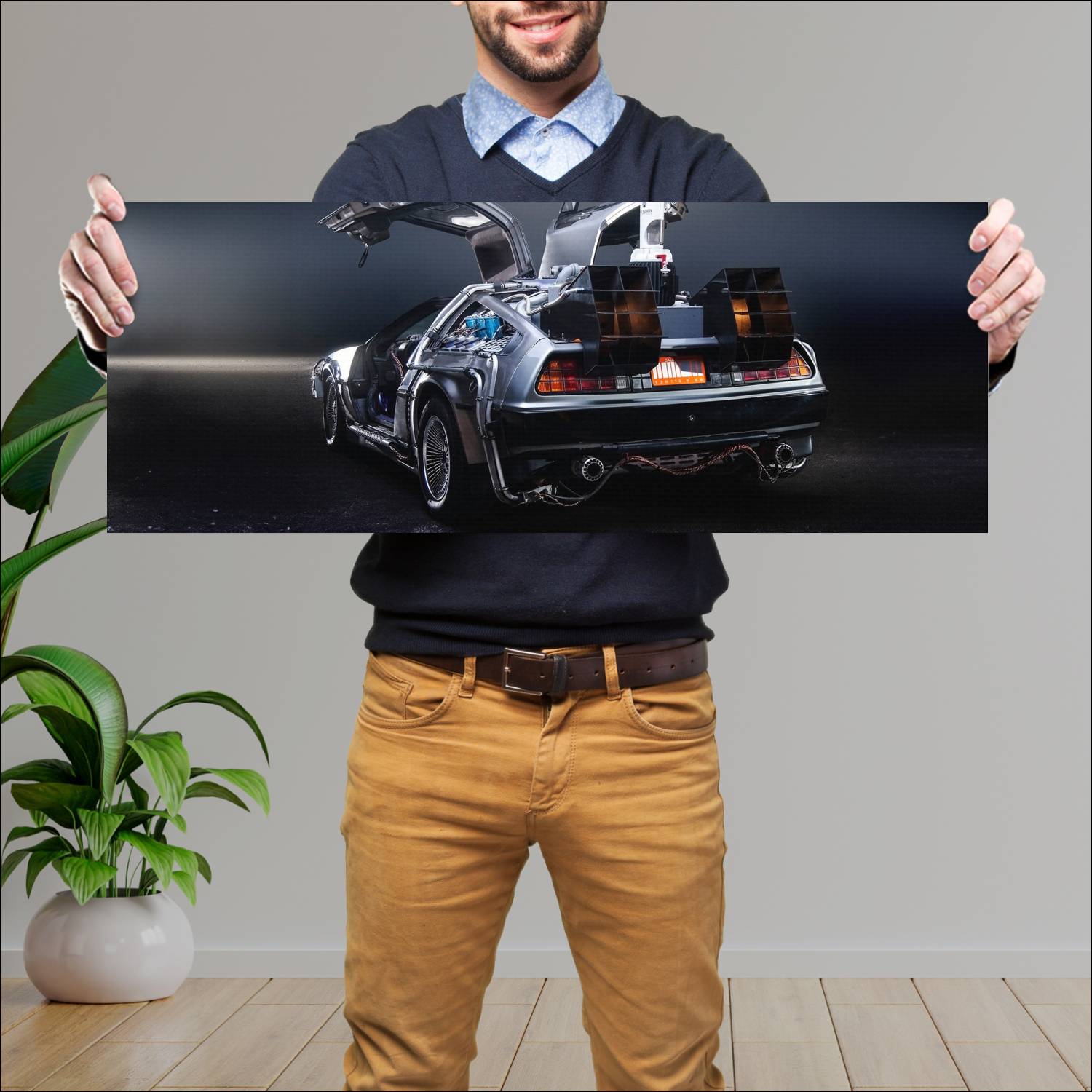 Cuadro grande 30x80cm DeLorean Parte Trasera Volver Al Futuro
