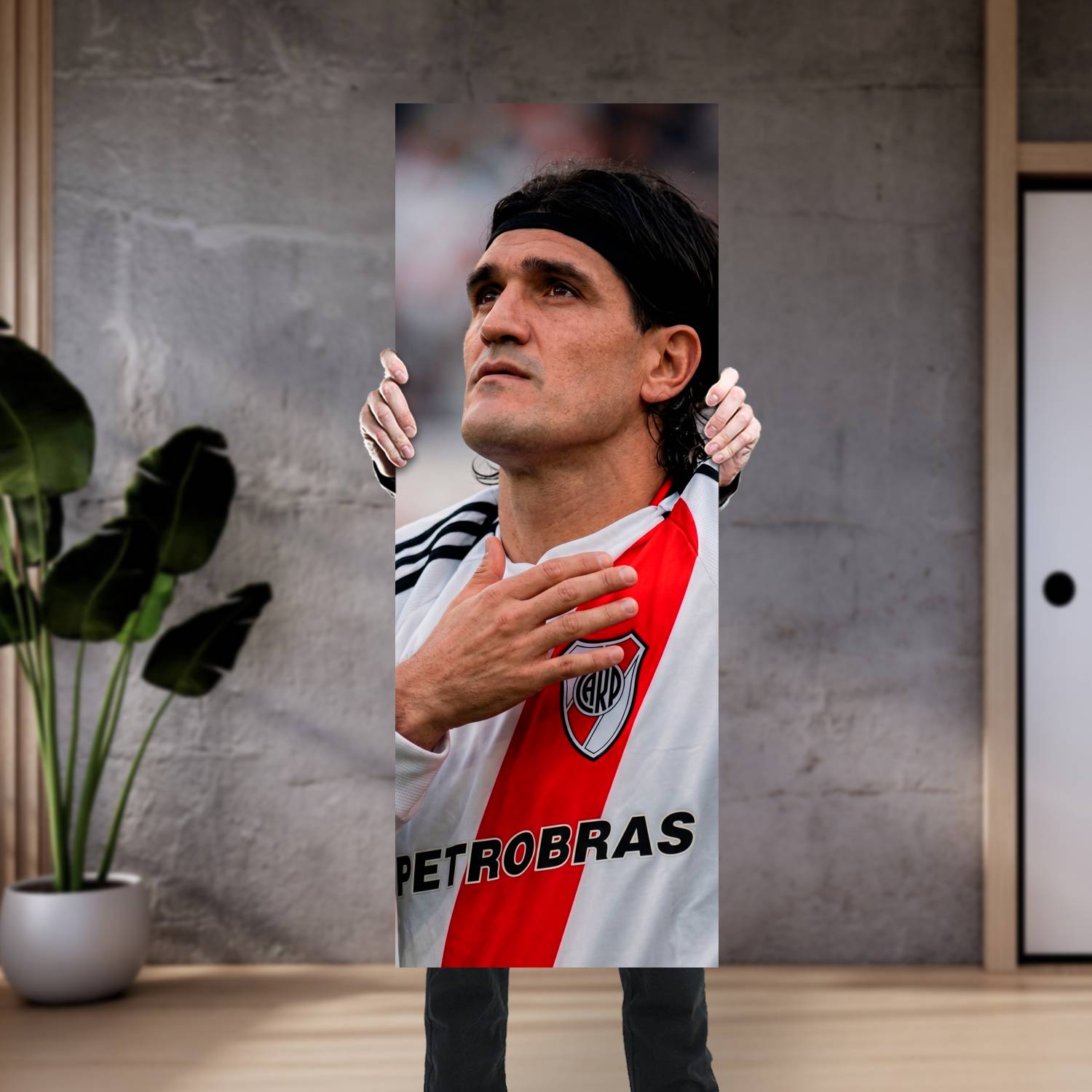 Cuadro grande 30x80cm Burrito Ortega Deporte