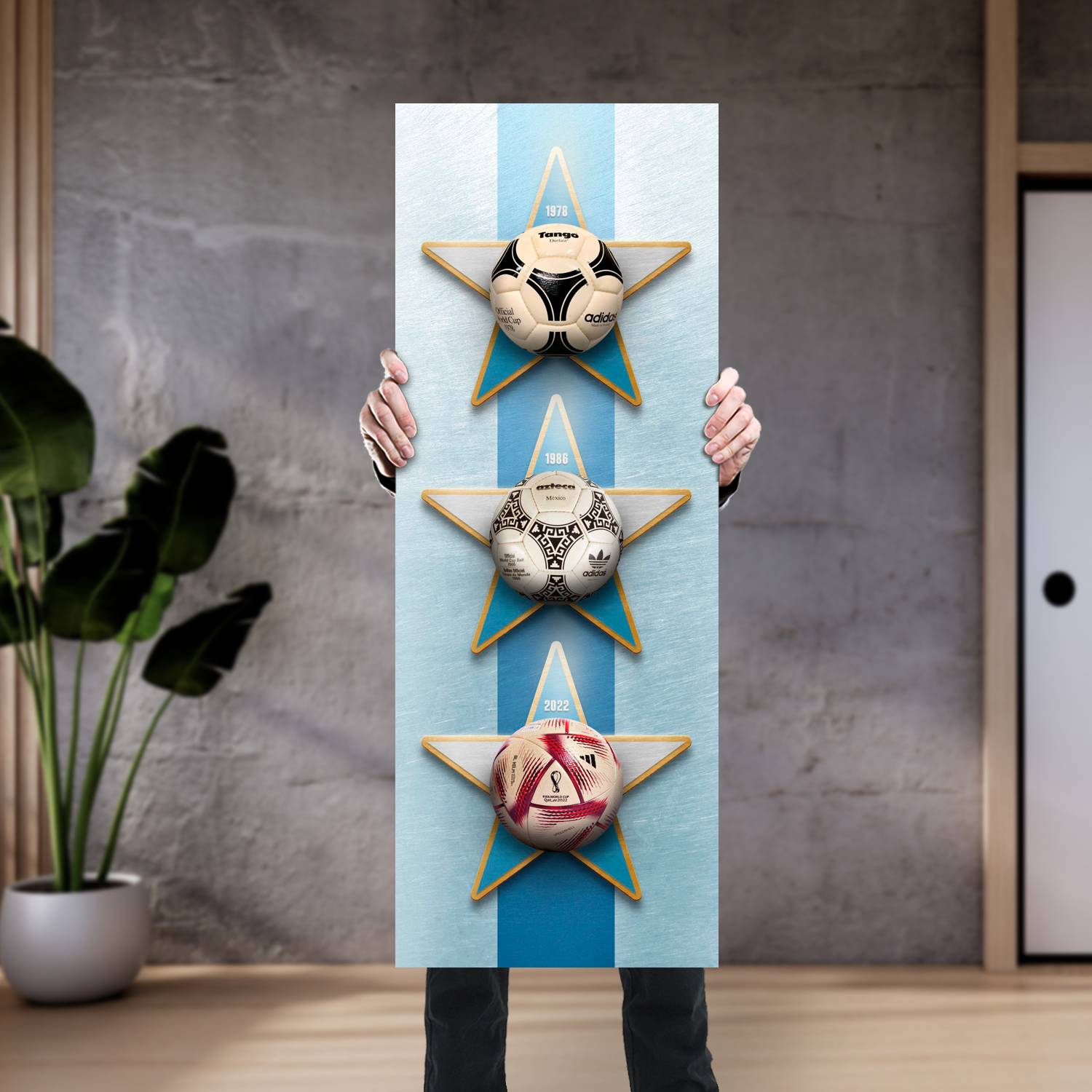 Cuadro grande 30x80cm Pelotas Mundiales Argentina Campeon Futbol